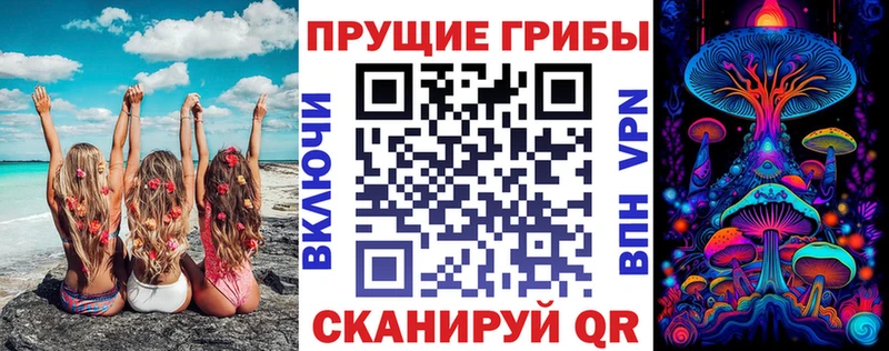 Галлюциногенные грибы GOLDEN TEACHER  KRAKEN tor  Фокино  наркошоп 